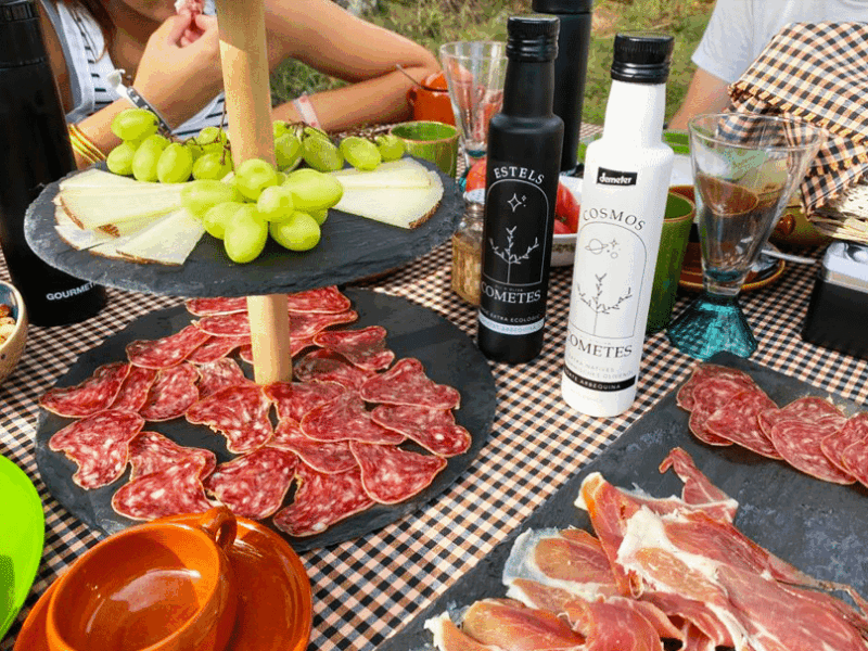 Esmorzar entre oliveres nova Esmorzar entre oliveres nova