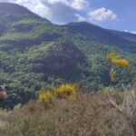 La influencer francesa @clarafotomania durant la seva visita al Pirineu