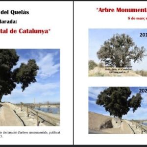 Alzinera de Quela╠Çs