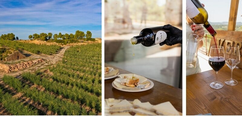 ACTIVITAT ESMORZAR KM 0 ACTIVITAT ESMORZAR KM 0