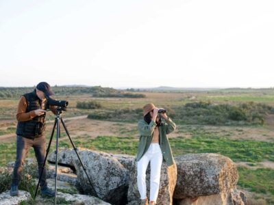 BirdingEbrePirineus BirdingEbrePirineus