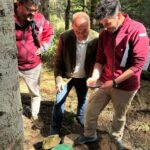 Ecocomptadors 2