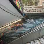 Campanya d'estiu 2026 - La campanya d'estiu a les escales de la plaça de Catalunya
