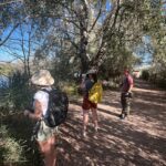 ornitologia - els tres 'influencers' a l'estany d'Ivars i Vila-sana
