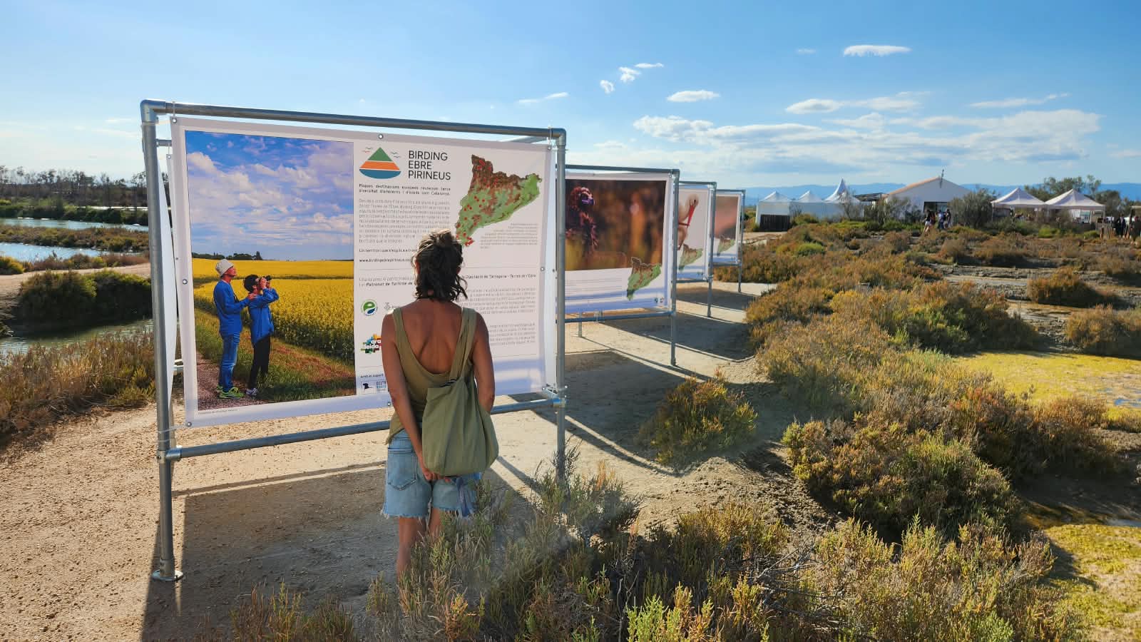 Promoció de l'ornitologia - l'exposició al Delta Birding Festival